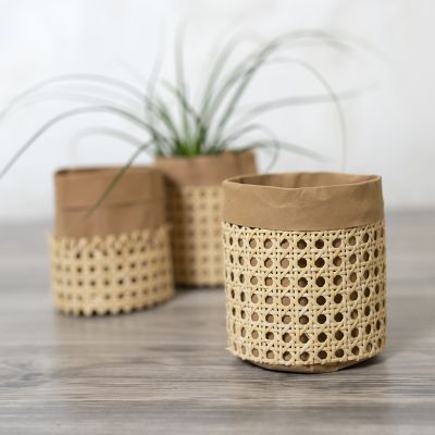 Behälter/Papierkorb